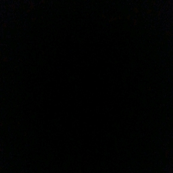 Meet your Posher, Janiyah - Picture 1 of 1